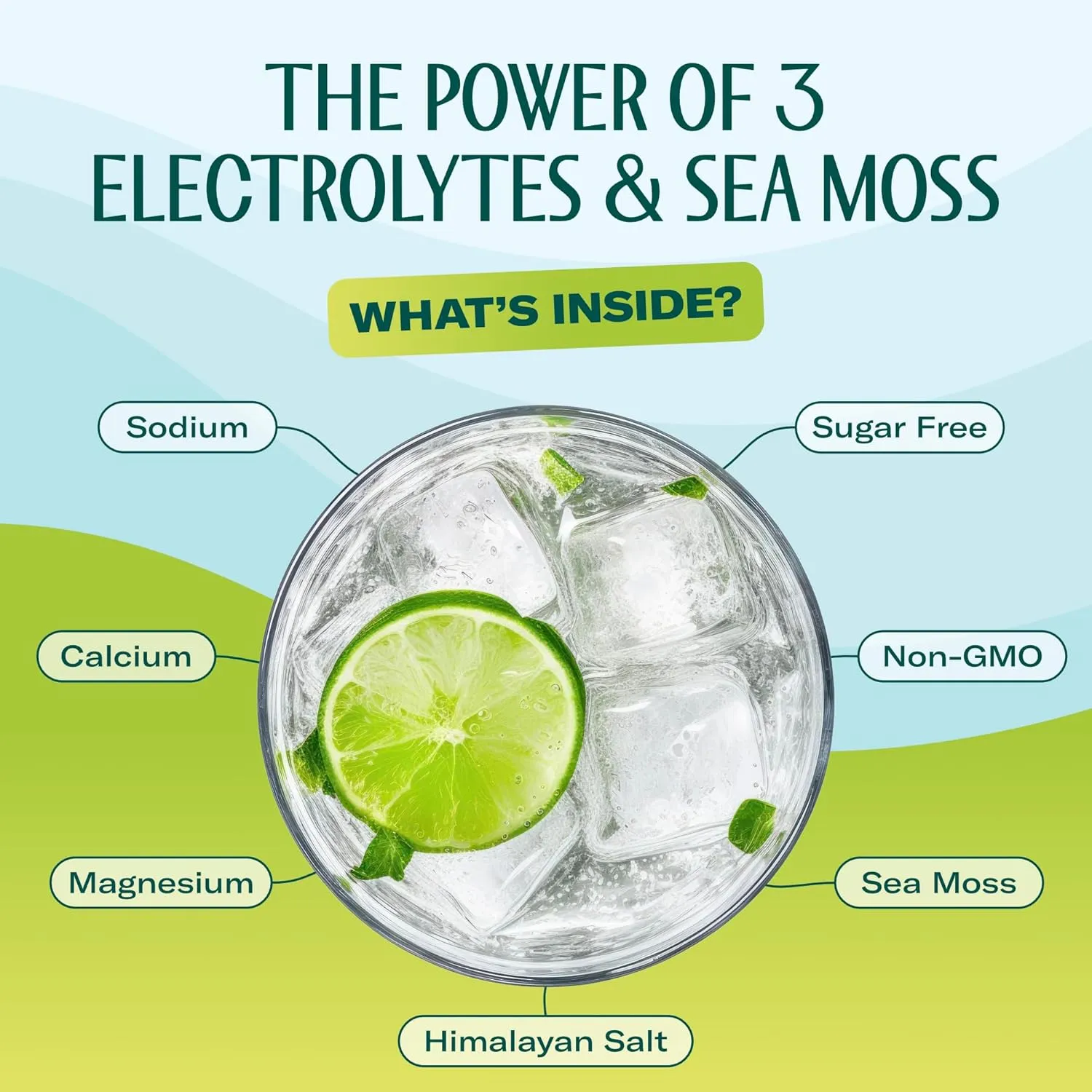 Electrolyte Lemon-Lime  Pack 20 - Image 3