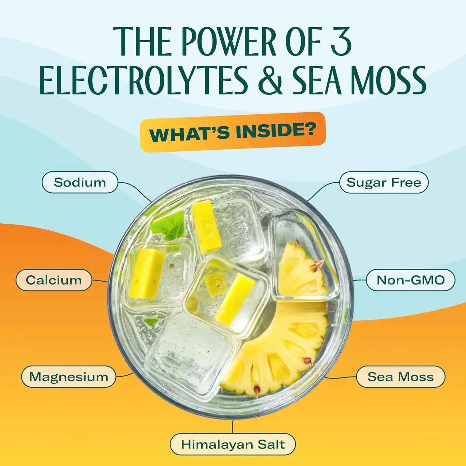 Electrolyte Mango-Pineapple Pack 20 - Image 3