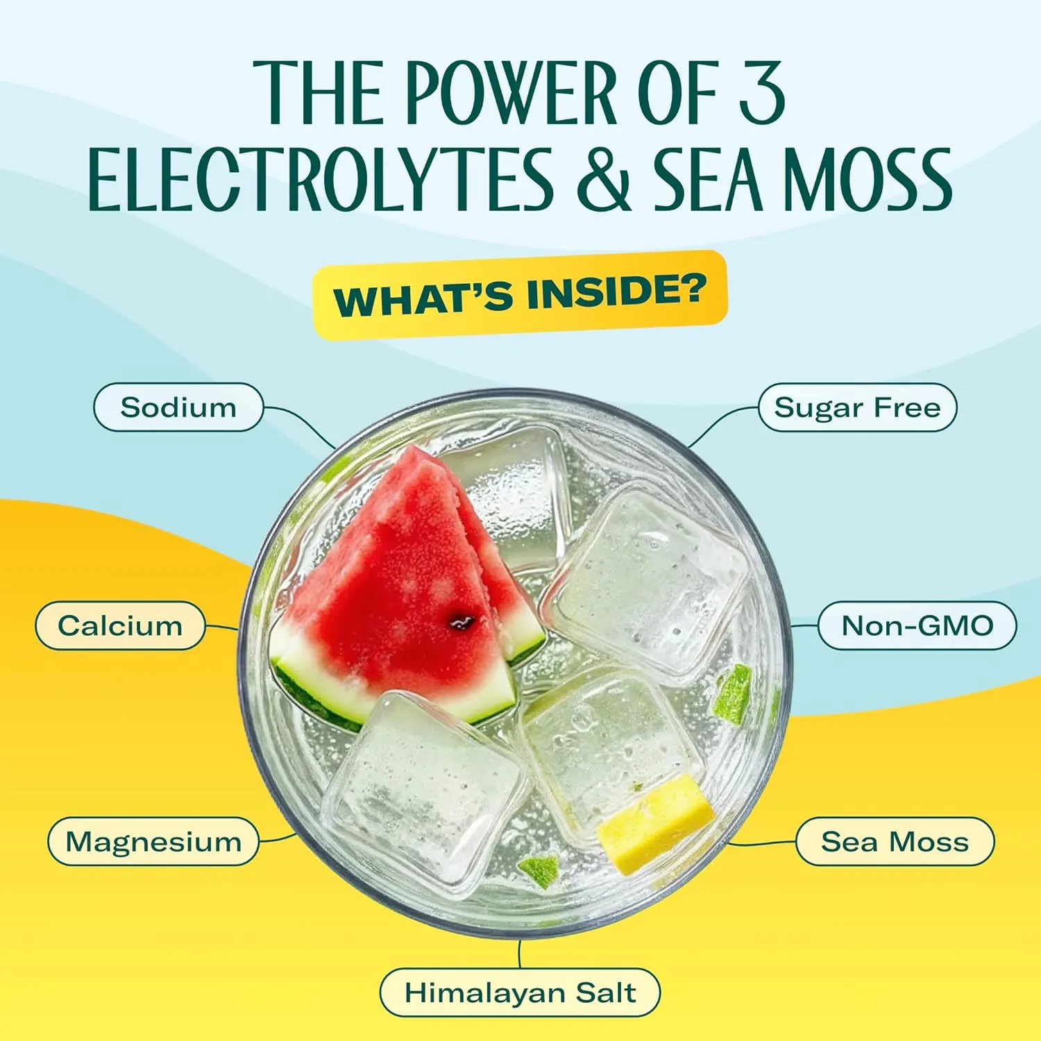Electrolyte Melon-Watermelon  Pack 20 - Image 3