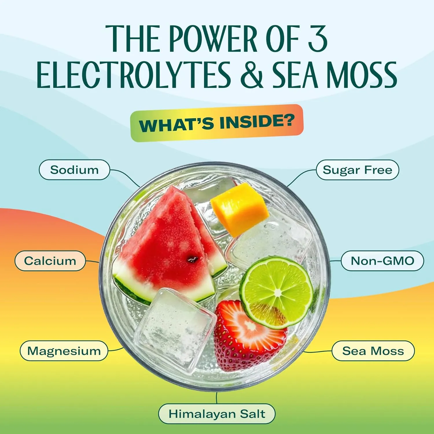 Electrolyte Multi Pack 20 - Image 3